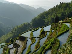-紫鹊界梯田景区