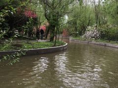 -南汇桃花村