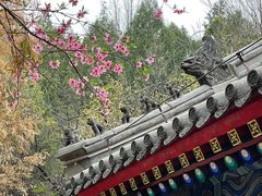 -红螺寺