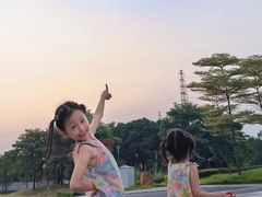-王借岗森林公园