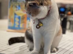 -CENCHI 汵奇咖啡(东四店)