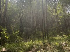 -驼梁风景区