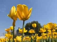 -桔子酒店(上海西藏北路地铁站店)