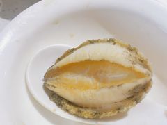 大连鲍鱼-青蓬蒸汽海鲜·深圳老字号·团建聚会(壹方城店)