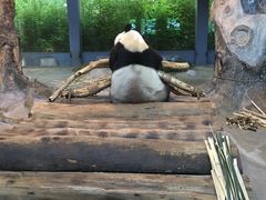 -海南热带野生动植物园