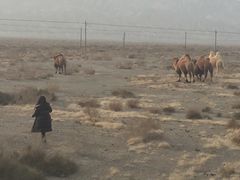 -天山神秘大峡谷