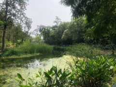 -白水寺森林公园