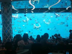 -瑞德姆美人鱼海底演艺主题餐厅(亚龙湾店)