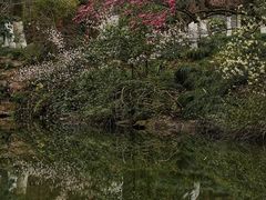 -杭州植物园