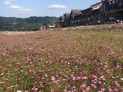 -木洞河街
