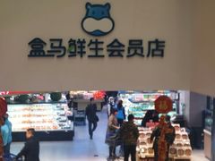 -盒马鲜生(大成店)