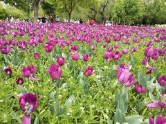 -长春公园(普阳街道)