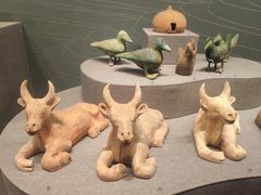 -广西壮族自治区博物馆