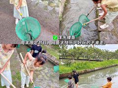 -乌村