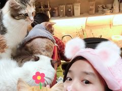 -猫色咖啡·猫咖