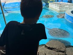 -泉城欧乐堡海洋极地世界