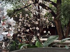 -张学良旧居陈列馆
