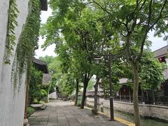 -鲁镇