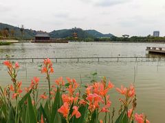 -顺峰山公园