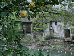 -小河直街历史文化街区