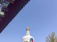 -大悦城(沈阳中街店)