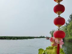 -白洋淀景区