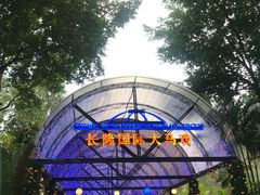 -广州长隆国际大马戏