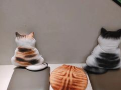 -飞行喵MR PILOT|猫舍·猫咖(静安大融城店)