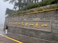 -九华山风景区