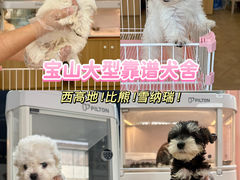 -翊宠yipet猫狗购宠庄园