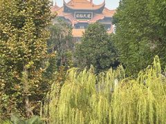 -黄鹤楼