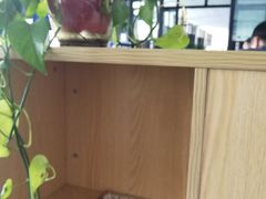 -北京市二清机动车检测场有限公司