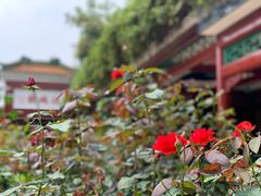 -宝墨园景区
