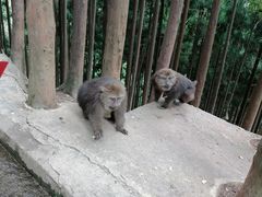 -太阳湾风景区