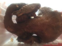 -小李烧鸡(西北角总店)