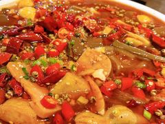 金牌毛血旺-粗粮人家·东北菜(洋桥店)