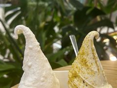 -野人先生Gelato(上海长宁龙之梦店)