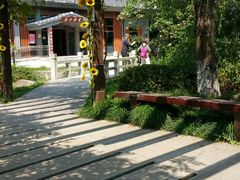 -白马涧龙池景区