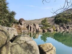 -白马涧龙池景区
