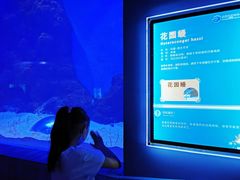 -石家庄海洋公园