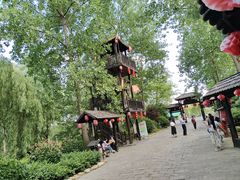 -合肥滨湖国家森林公园