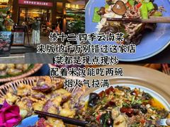 -西双版纳原始森林公园