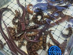 -大锅强·蒸海鲜青岛菜(金沙滩店)
