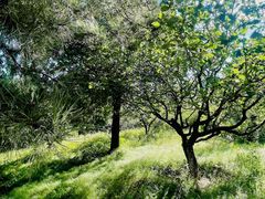 -北京西山国家森林公园