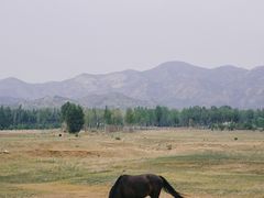 -敕勒川草原文化旅游区