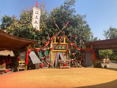 -云南民族村