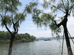 -旅马餐厅(茅家埠店)