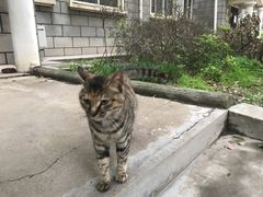 -亚坤(新达城广场B1店)