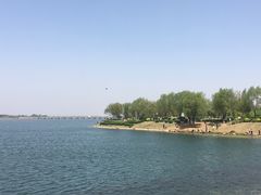 -丁香湖公园