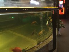 -中影国际影城(兰生大厦CINITY LED店)